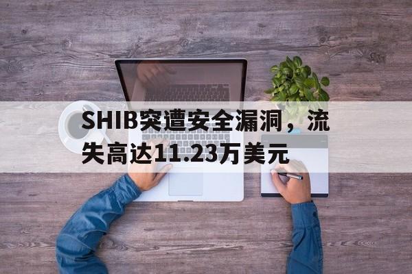 金年会下载登录最新版关于SHIB突遭安全漏洞，流失高达11.23万美元的信息