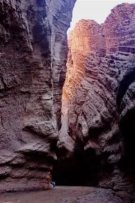 金年会下载登录天山山猫队小胜嵩山雄鲨队，F1半决赛上演裁判判罚引热议！团队防守值得称道的简单介绍